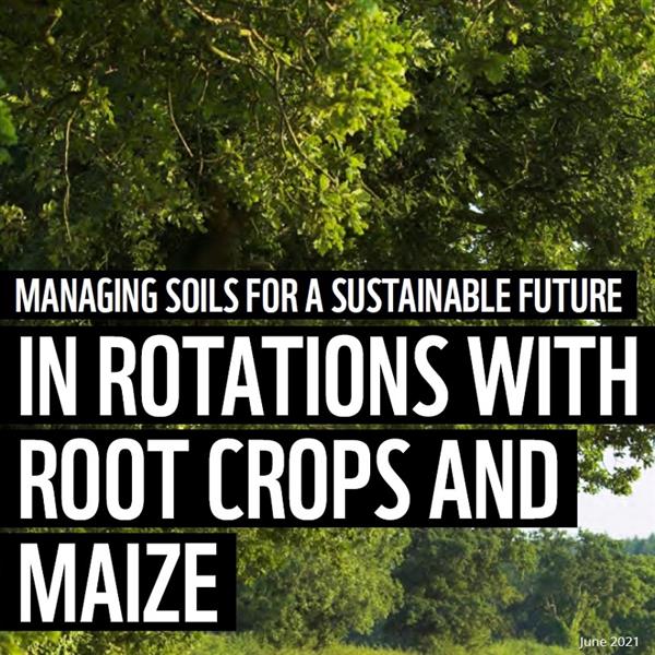 Soil health initiative: managing soils for a sustainable future in rotations with root crops and maize