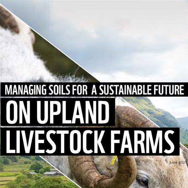 Soil health initiative: managing soils for a sustainable future on upland livestock farms